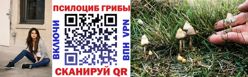 Галлюциногенные грибы ЛСД Коломна