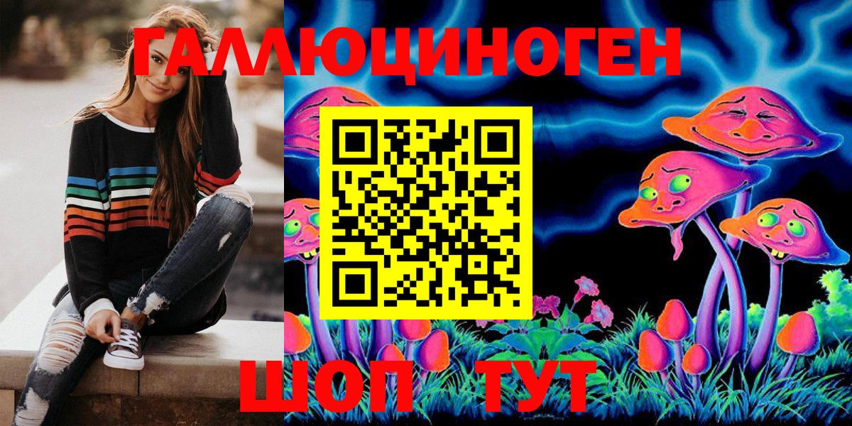 Галлюциногенные грибы Psilocybine cubensis Коломна