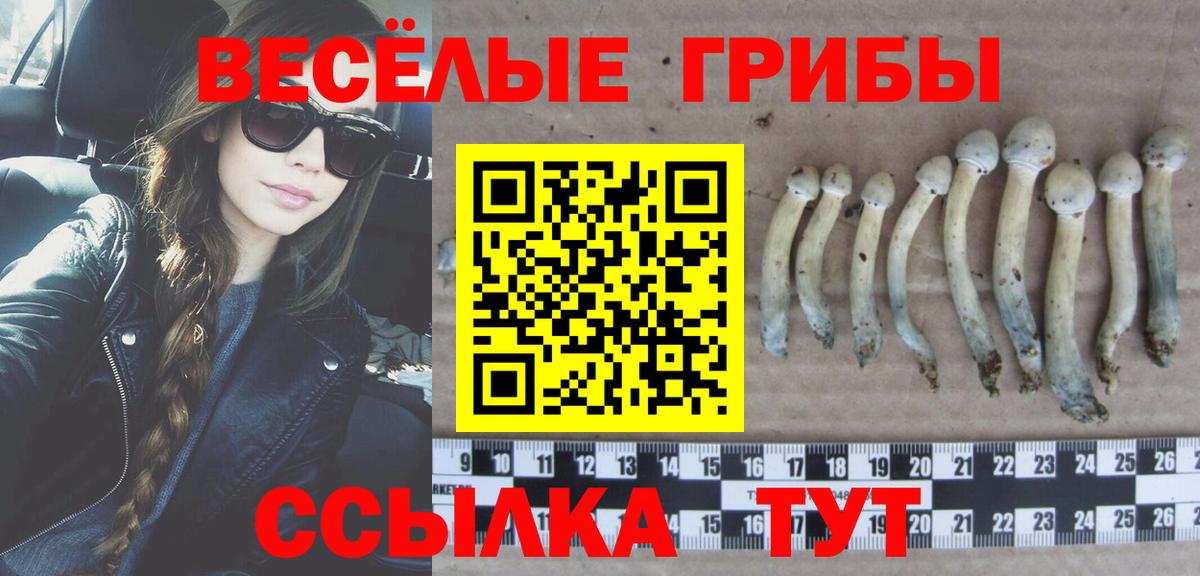 Галлюциногенные грибы GOLDEN TEACHER  Коломна  Галлюциногенные грибы прущие грибы 