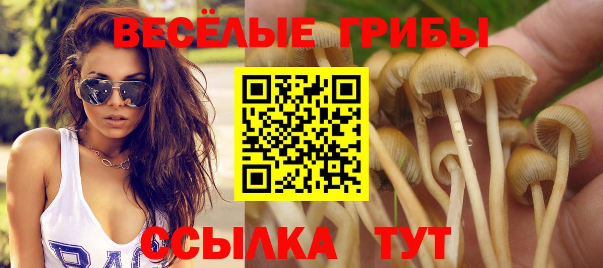 Коломна  Галлюциногенные грибы GOLDEN TEACHER  Псилоцибиновые грибы Psilocybe  Вход с VPN 