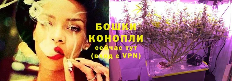 Бошки марихуана THC 21%  как найти закладки  Коломна 